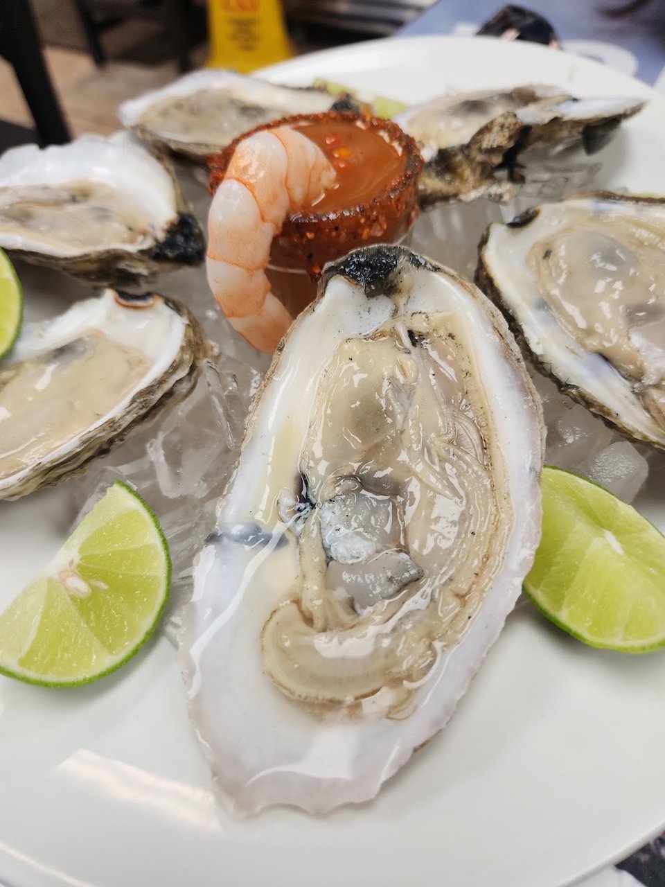 Oysters